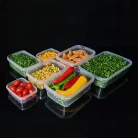 ظروف فریزری ماکروفر یکبار مصرف بسته بندی