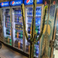 سالن دار ، کمک آشپز، پیتزا زن، نظافت چی و نیرو ساد