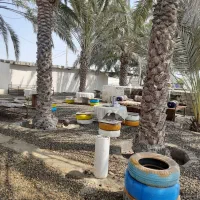 بوم گردی چابهار|اجارهٔ کوتاهمدت ویلا و باغ|چابهار, |دیوار