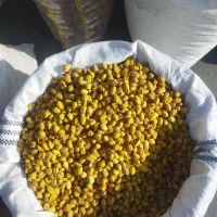 پسته رفنجان|خوردنی و آشامیدنی|سنندج, |دیوار