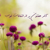 مدارک گم شده