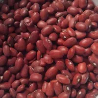 لوبیا قرمز وچیتی|عمده‌فروشی|لالجین, |دیوار