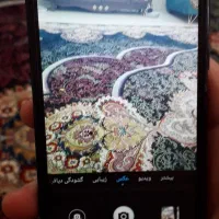 y7. 2019|موبایل|شیراز, شهرک سراج|دیوار