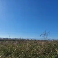 ۲۵۰ متر زمین / سند تک برگ / شهرک احمد خمینی|فروش زمین و ملک کلنگی|رشت, منظریه|دیوار