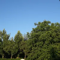 خانه‌ویلای‌‌عالی