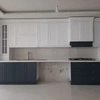 طراح و مجری دکراسیون داخلی