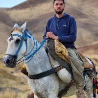 اسب یورغه فروشی