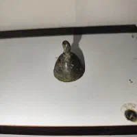 زنگوله قدمت بالا