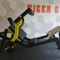 بدنسازی پل باسن / حداکثر تحمل وزن ۳۰۰ کیلوگر