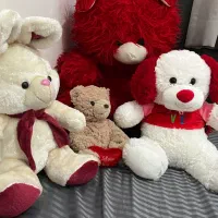 عروسک فروشی خرس شاسخین