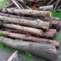 فروش چوب