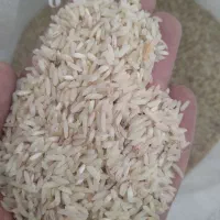 فروش برنج پاکستانی ۱۲۰۰میلیون|خوردنی و آشامیدنی|تربت جام, یحیی آباد|دیوار