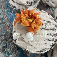 دیگ واسه مهمونی نگران غذا(فست فود) نباش تامنوداری