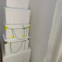 بوج