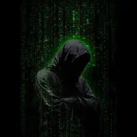 بازگرادنی پیج های اینستاگرام. فالور اینستاگرام