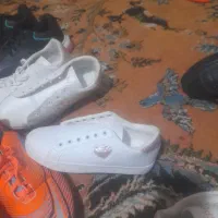 کفش عمده ۱۶۰ عدد قیمت ۱۹۰