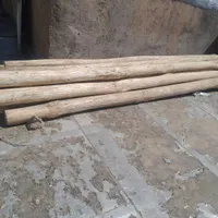 درخت چنار نو|مصالح و تجهیزات ساختمان|سنندج, |دیوار