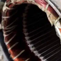 اسانسور|خدمات پیشه و مهارت|اردبیل, |دیوار