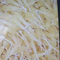 شرکت قند و نبات