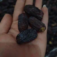 خرما پیارم هرمزگان