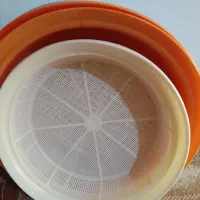 ابکش بزرگ برنج