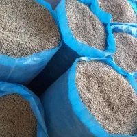 دانه تخمگذار