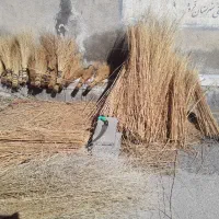 فروش کلی و جزعی جارو با نازلترین قیمت.