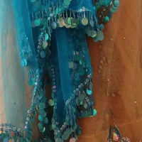 لباس محلی شیک|لباس|شیراز, اصلاح‌نژاد|دیوار