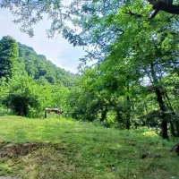 اجاره‌ویلا‌ماسوله‌‌جنگلی‌ورودخانه‌|اجارهٔ کوتاه‌مدت ویلا و باغ|ماسوله, |دیوار