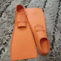 فین شنا mississipi