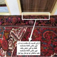 فرش ۱۲ متری شربیان درحدنو|فرش|مراغه, |دیوار