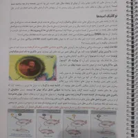 جزوه یازدهم و دوازدهم دوره جامع حنیف عظیمی|کتاب و مجله آموزشی|بناب, |دیوار