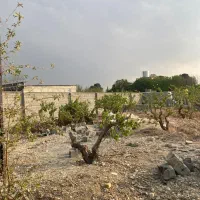 باغچه-400-متر-نهال-کاری-شده-سند-تک-برگ