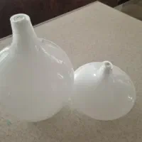 دو عدد گلدان سالونگ