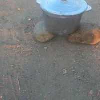 دیگ چودن روس تعداد دارم