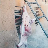 سلاخی قصابی.