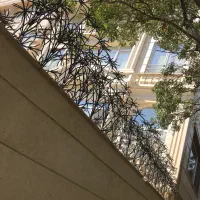 تولید کننده حفاظ نرده شاخ گوزنی