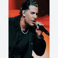 کنسرت مجید رضوی