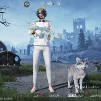 اکانت پابجی لول 71|کنسول، بازی ویدئویی و آنلاین|بندر ماهشهر, |دیوار