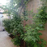 فروش خانه ویلایی ۷۵ متری ۱ خوابه