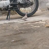 باسلام موتور برگه مزایده مدل 90