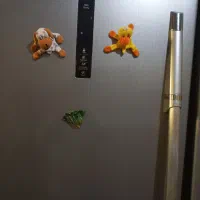 یک یخچال ویک فریزر لایف بیست فود اتوماتیک