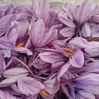 گل اومده هرکسی برا پاک کردن میخواد بیاد ببره