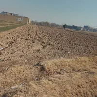 سرمایه گذاری زمین کشاورزی