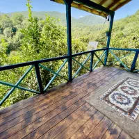 کلبه جنگلی ننه گل