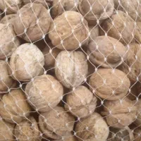 گردو