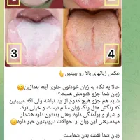 سونوگراف ازکل بدن