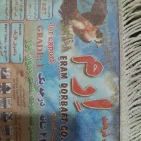 فرش|فرش|مشهد, امیریه|دیوار