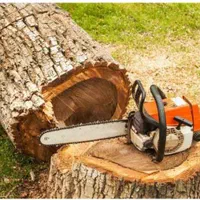 انجام کلیه خدمات باغبانی وسم پاشی|خدمات باغبانی و درختکاری|مشهد, کوشش|دیوار