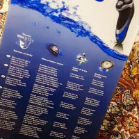 حراج ریش تراش فیلیپس|حراج|اردبیل, |دیوار